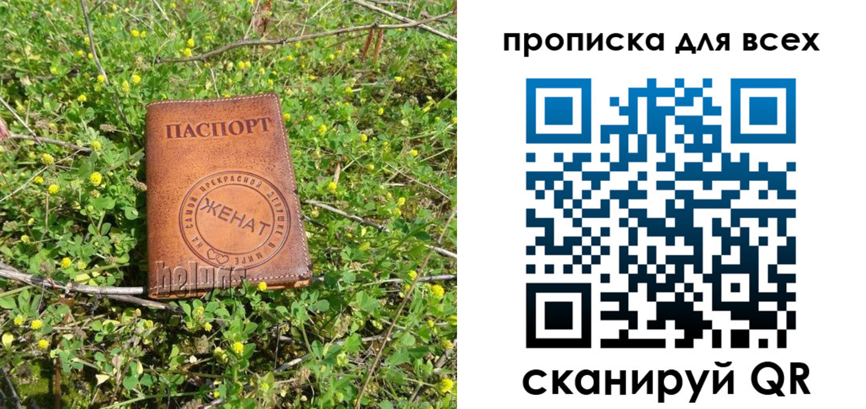 прописка поиск в Венёве
